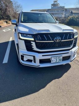 Land cruiser WALD edition LC300 2022