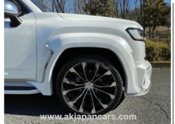 LAND CRUISER LC300
