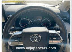 
										LAND CRUISER LC300 full									