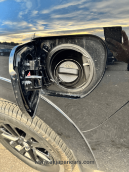 
										Toyota Land Cruiser Prado full									