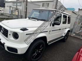 Mercedes-EQ G580 with EQ Technology Edition-1 2025
