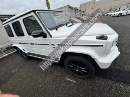 Mercedes-EQ G580 with EQ Technology Edition-1 2025